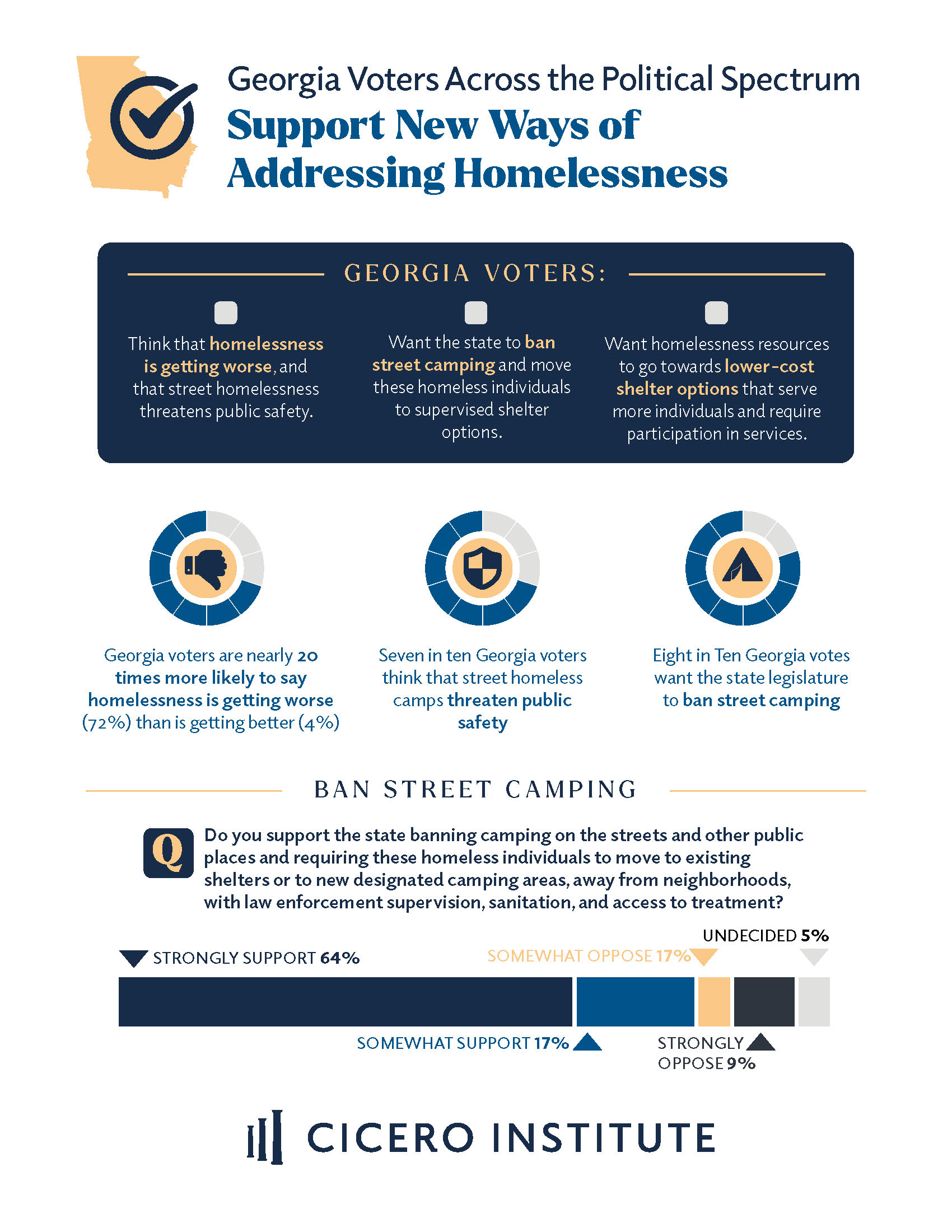 Georgia Homelessness Poll